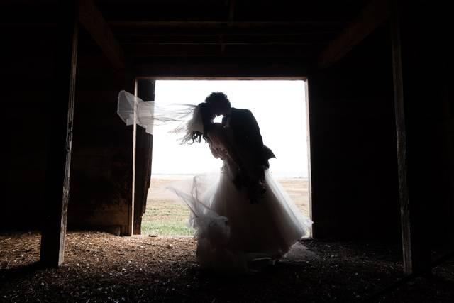 Melissa Potter Photography