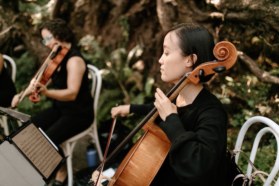 Maria Wang, cello
