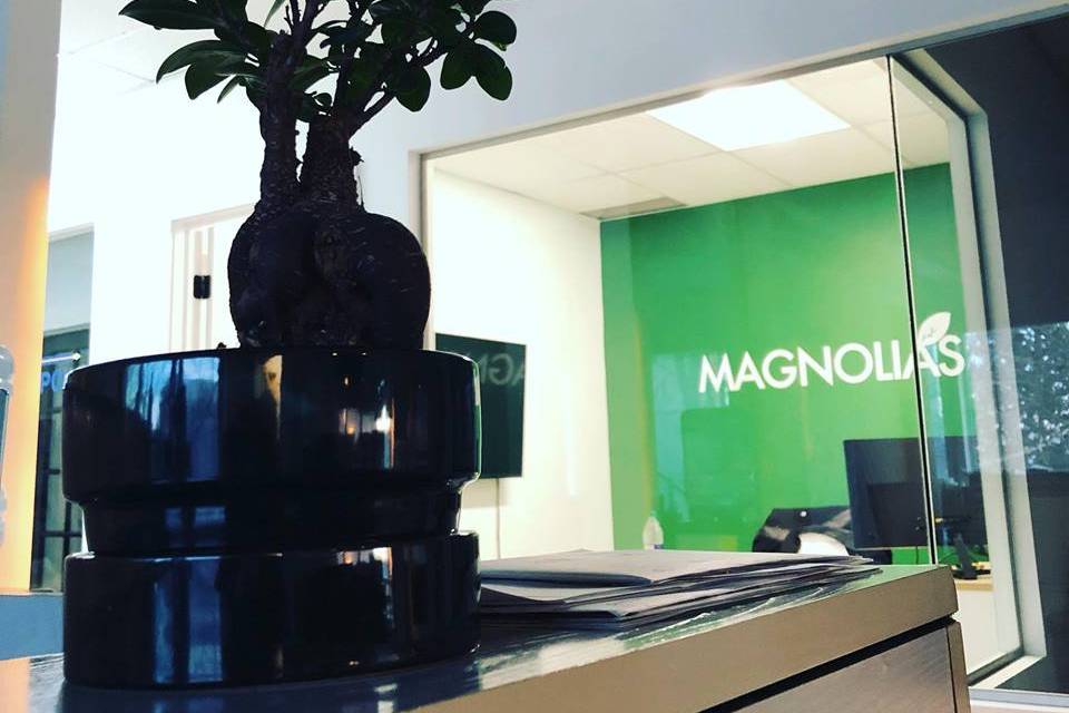 Magnolias Productions