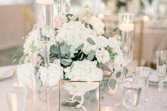 Elegant Decor Rentals