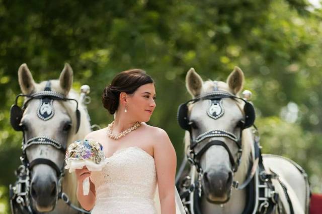 Horse and Carriages