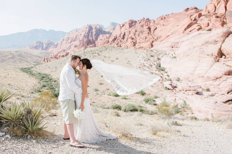 Las Vegas destination wedding