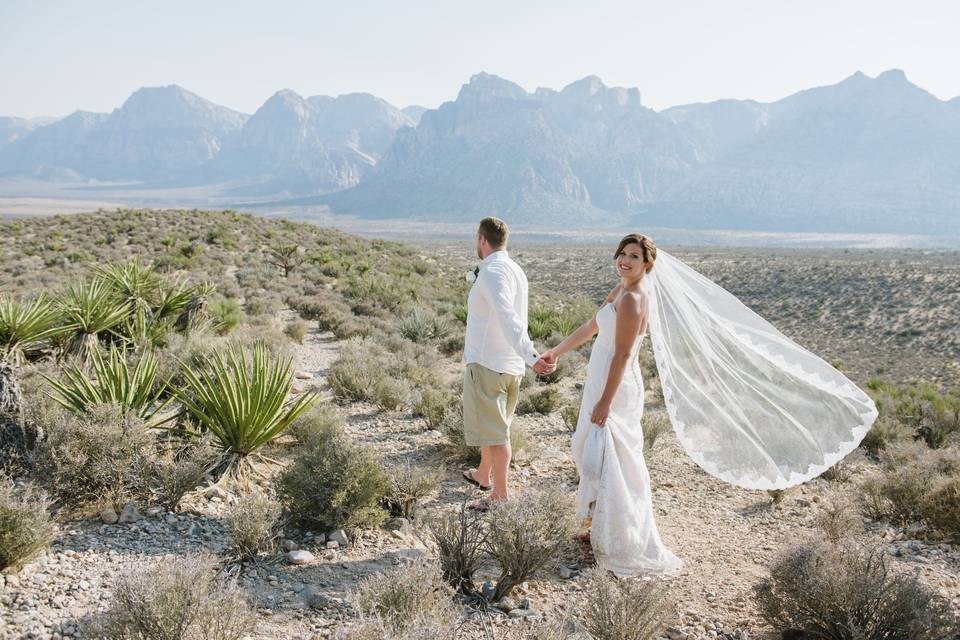 Vegas Desert wedding