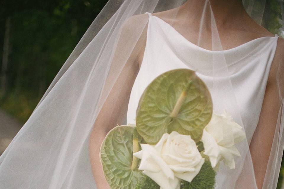 Harrietphilip