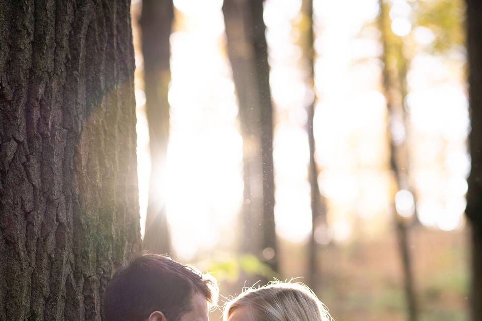 Dryden Tract backlight