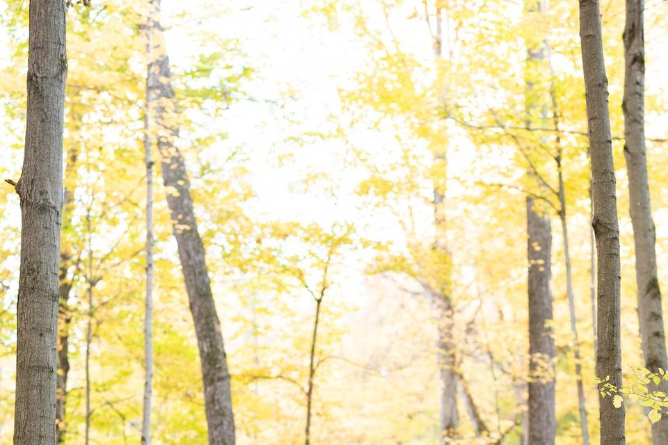 Dryden Tract warm up hill