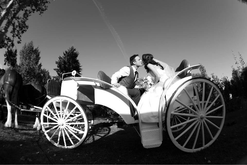 Wedding Carriage