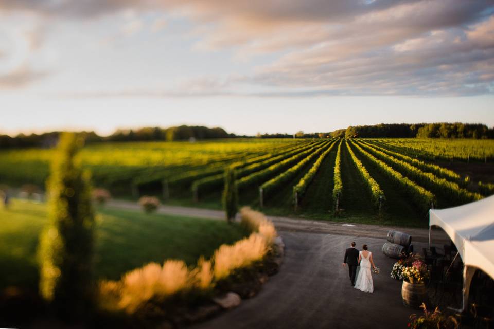 Montreal wedding