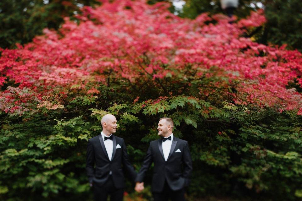 Two grooms