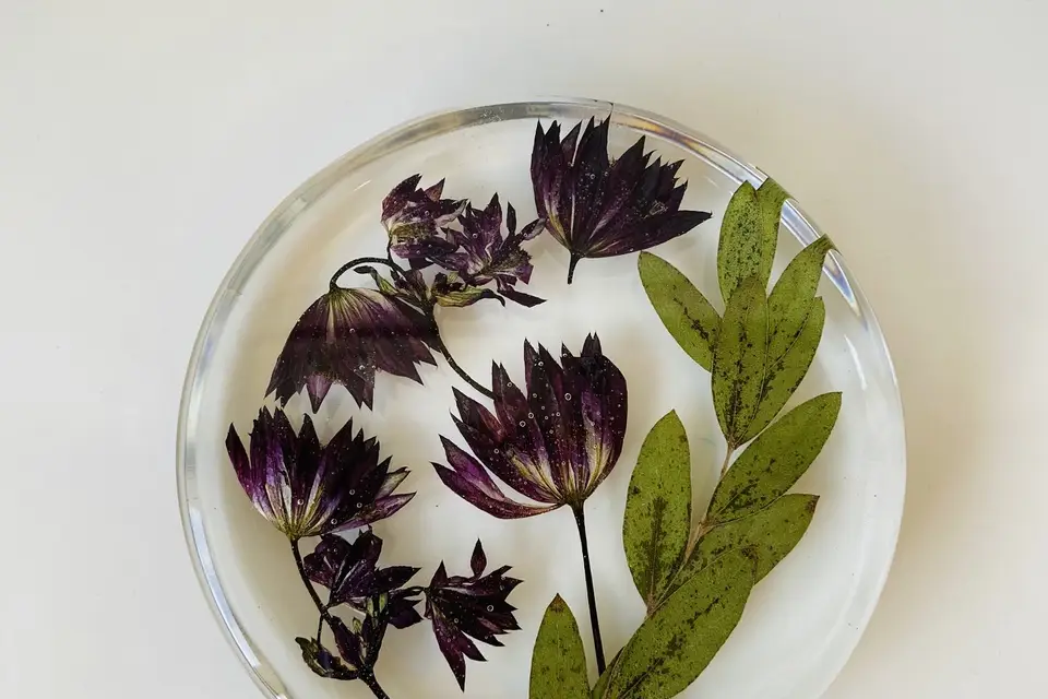 Pressed Flower Trinket Dish - Nature Store – Almanac Supply Co.