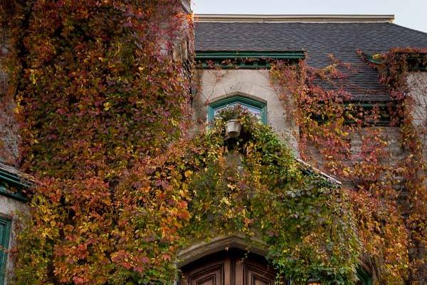 Autumn wedding at the club