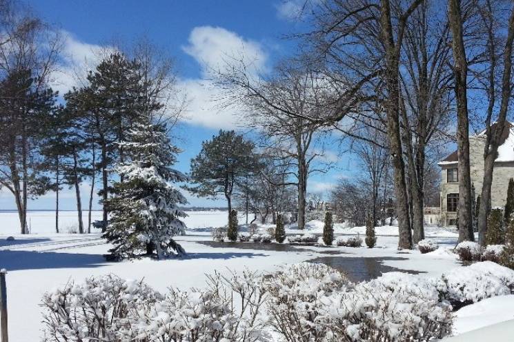 Winter at Forest and Stream