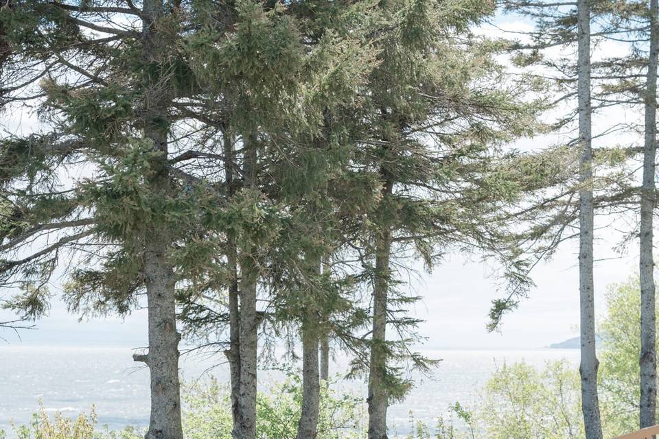 Marche des nouveaux mariés