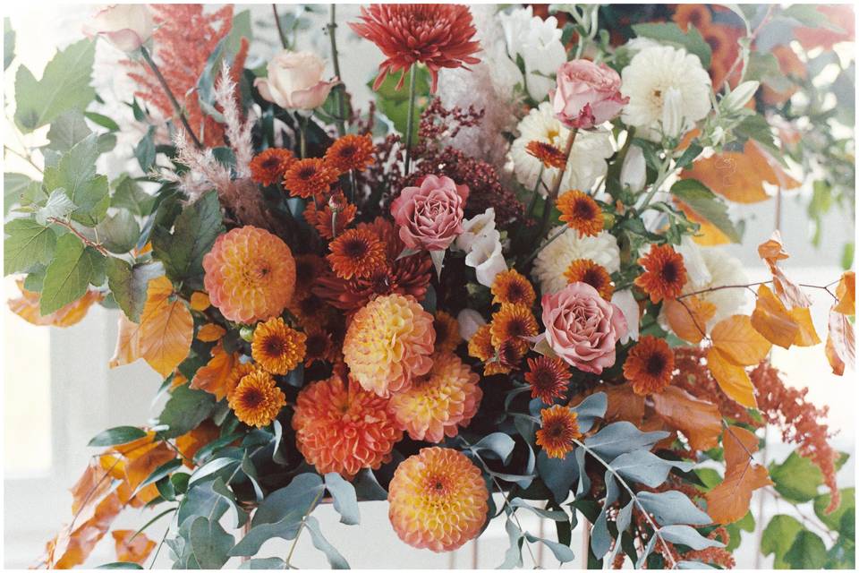 Flowers on film