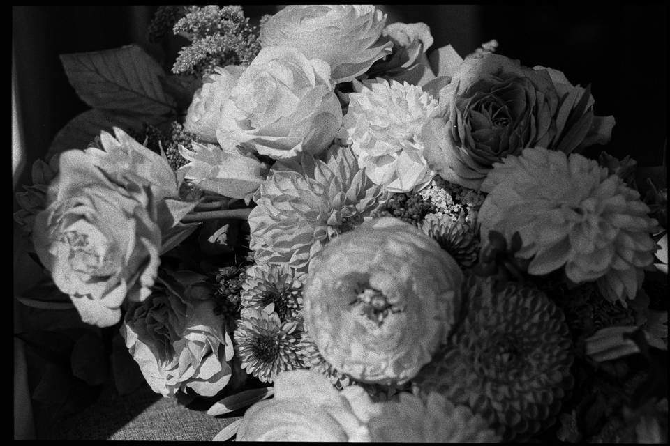 Black and white film photo