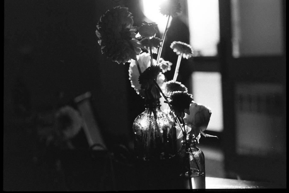 Moody reception on film
