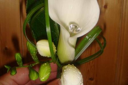 Terrafolia Flowers