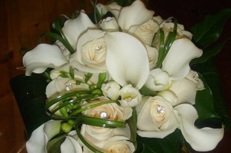 Terrafolia Flowers