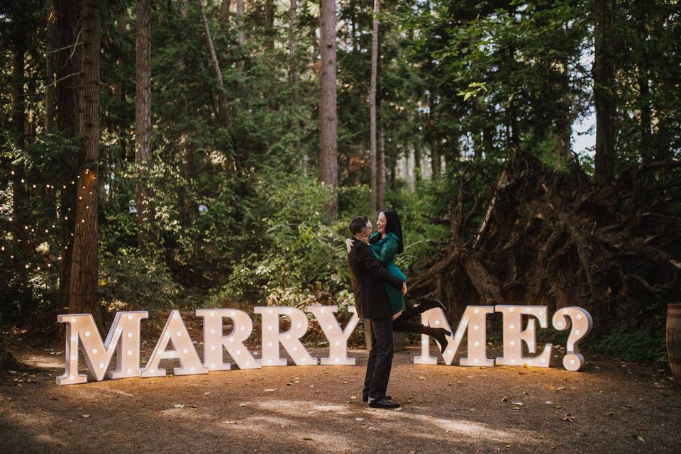 Marry Me? - Marquee Sign