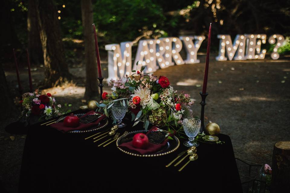 Marry Me? - Marquee Sign