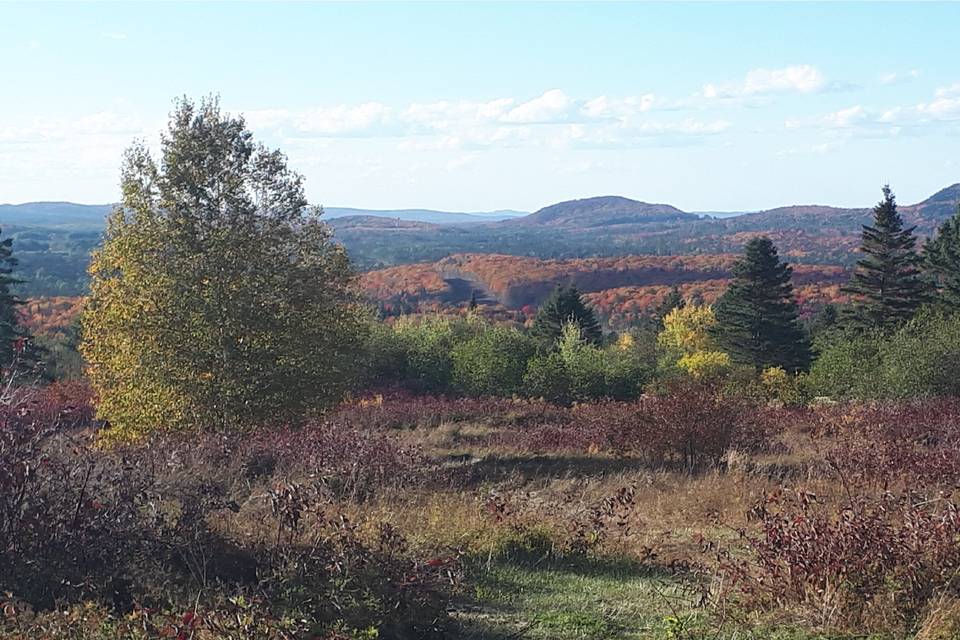 The Ridge in Fall