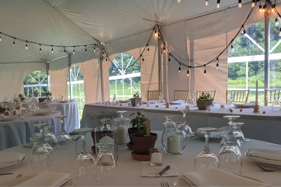 Tent with festoon lights