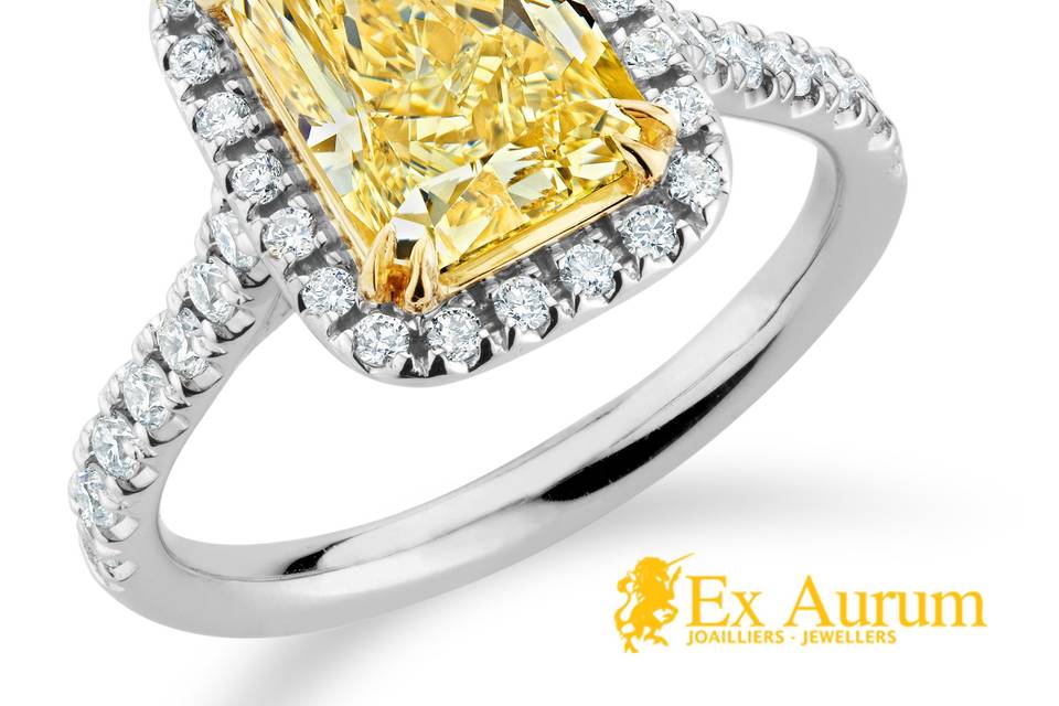 Ex Aurum Jewellers