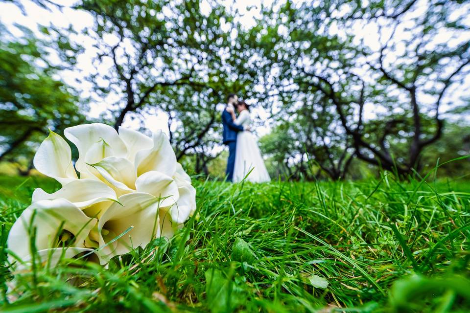 Outdoor Wedding Alberta