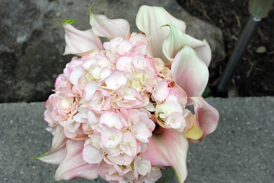 Calla lilies bouquet