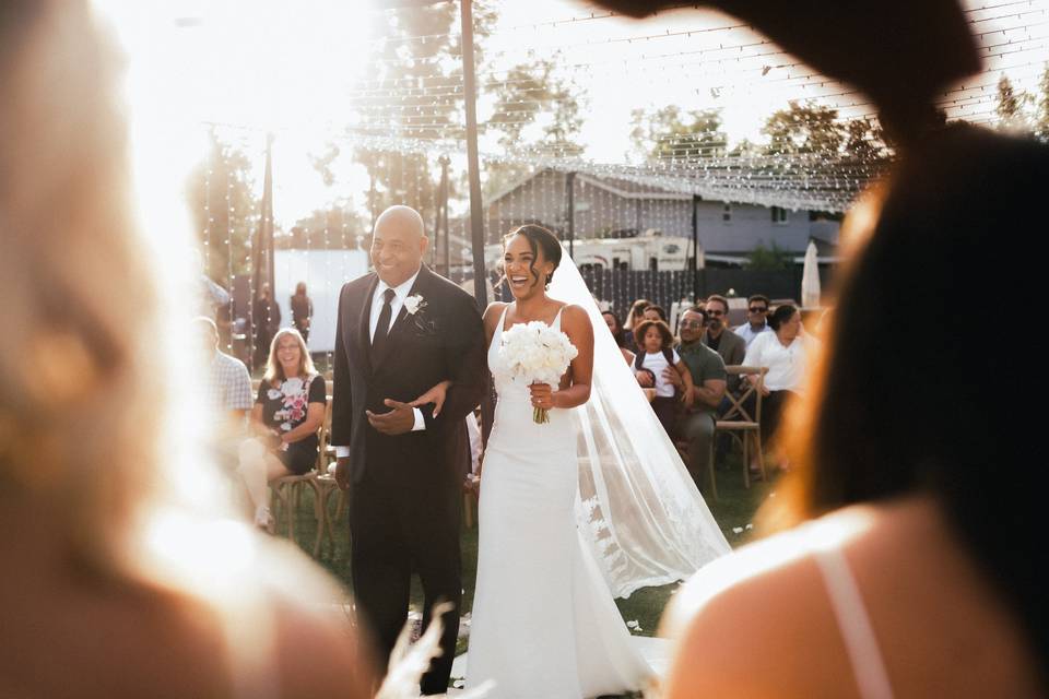 Beautiful bride and her father