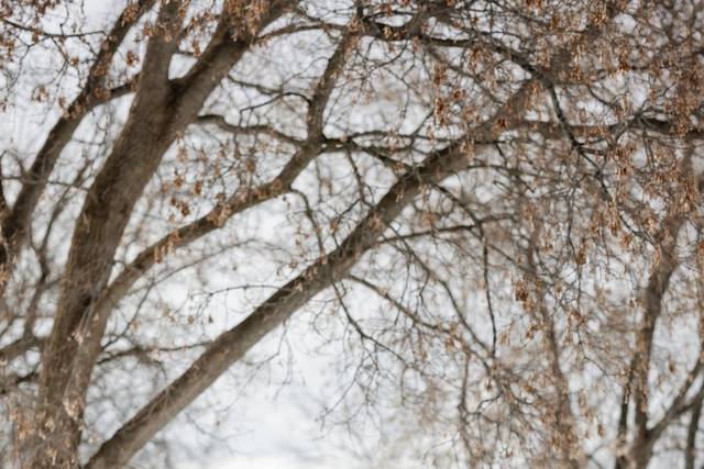 Winter Weddings