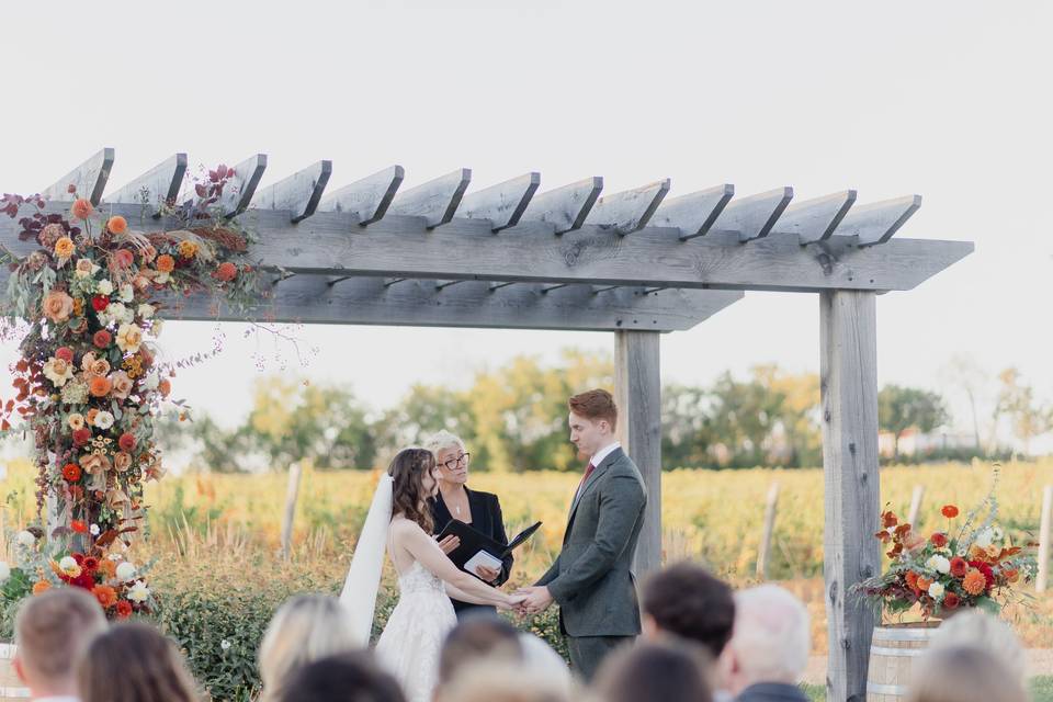 Arbour
