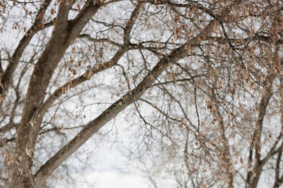 Winter Weddings