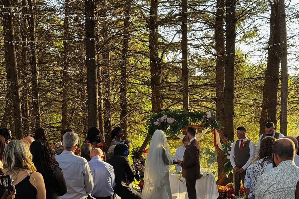 Wedding