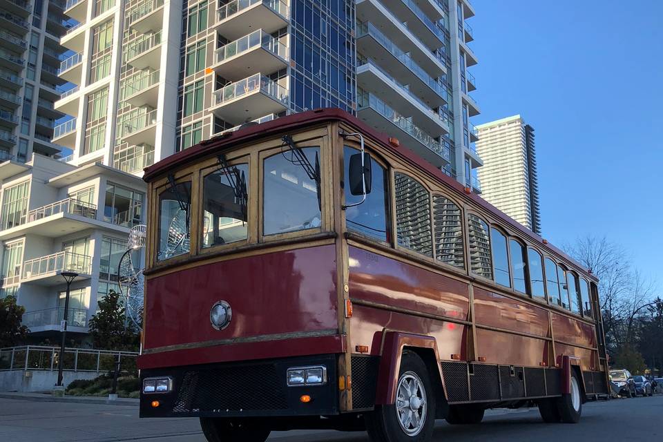 Trolley bus from left side