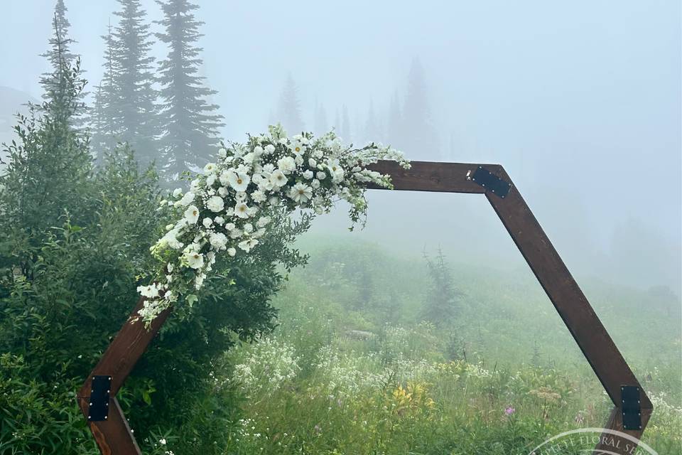 Sun Peaks Arch 2025