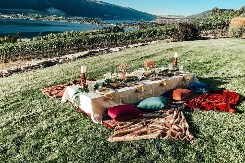 Luxe Picnic w/friends