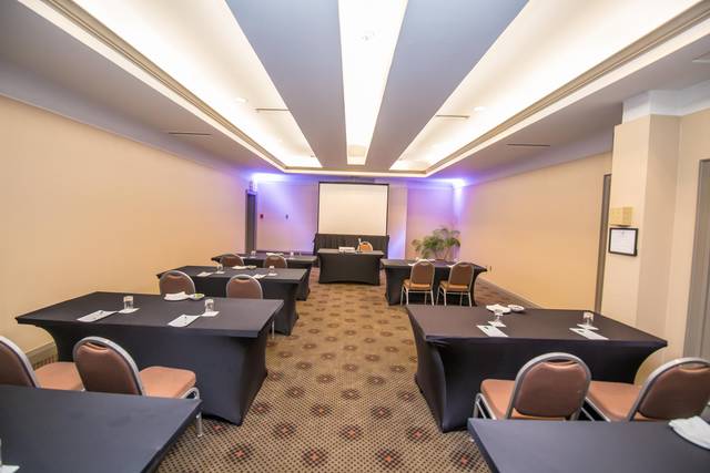 Etobicoke Room