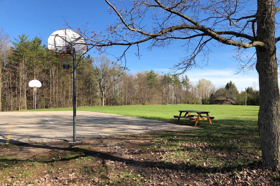 Basketball Court