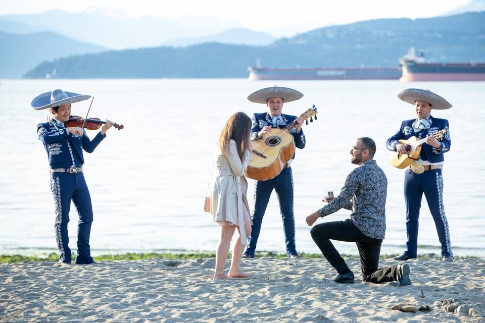 Spanish Banks Proposal shoot