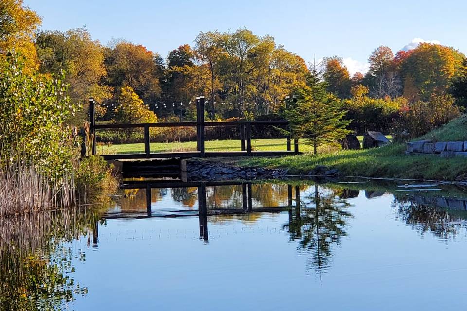 Bridge over the pond