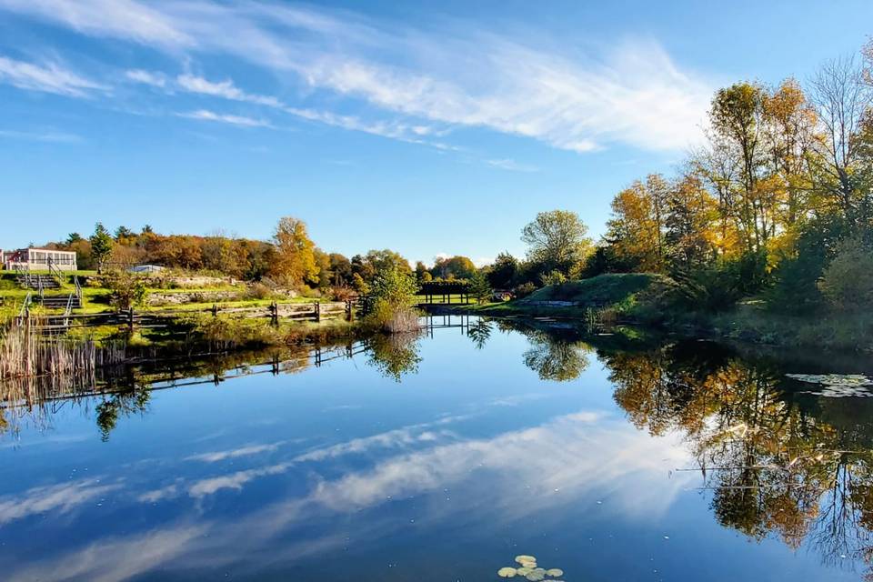 Pond Landscape