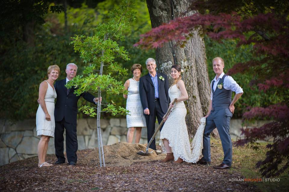 The Wedding Tree