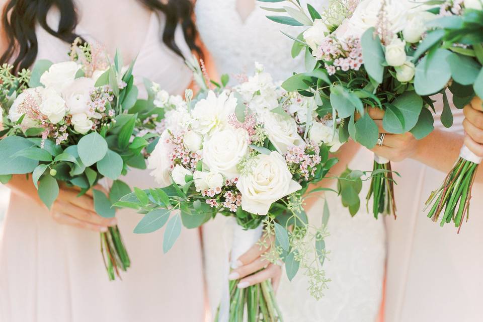 Bride and Bridesmaids