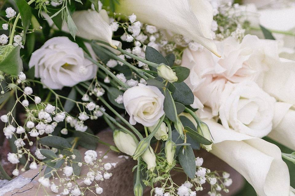 White Calla Lily