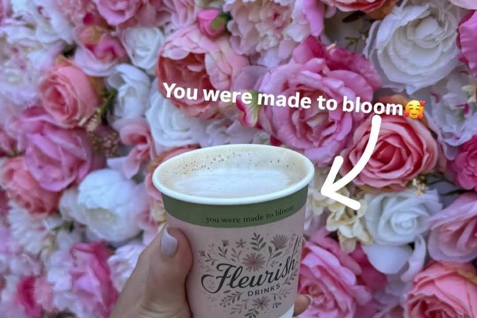 Our signature cups