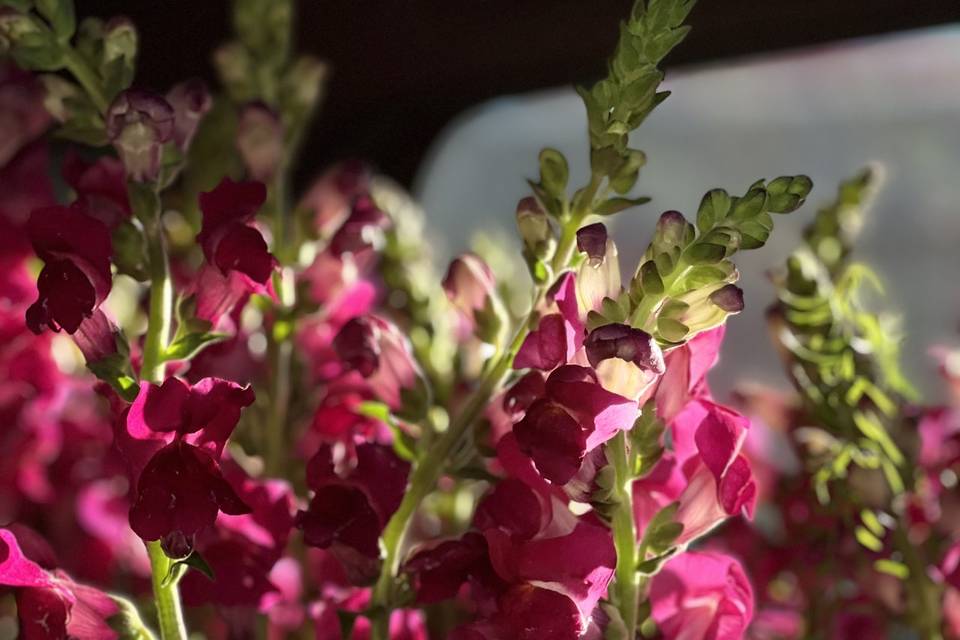 Event flower arrangements