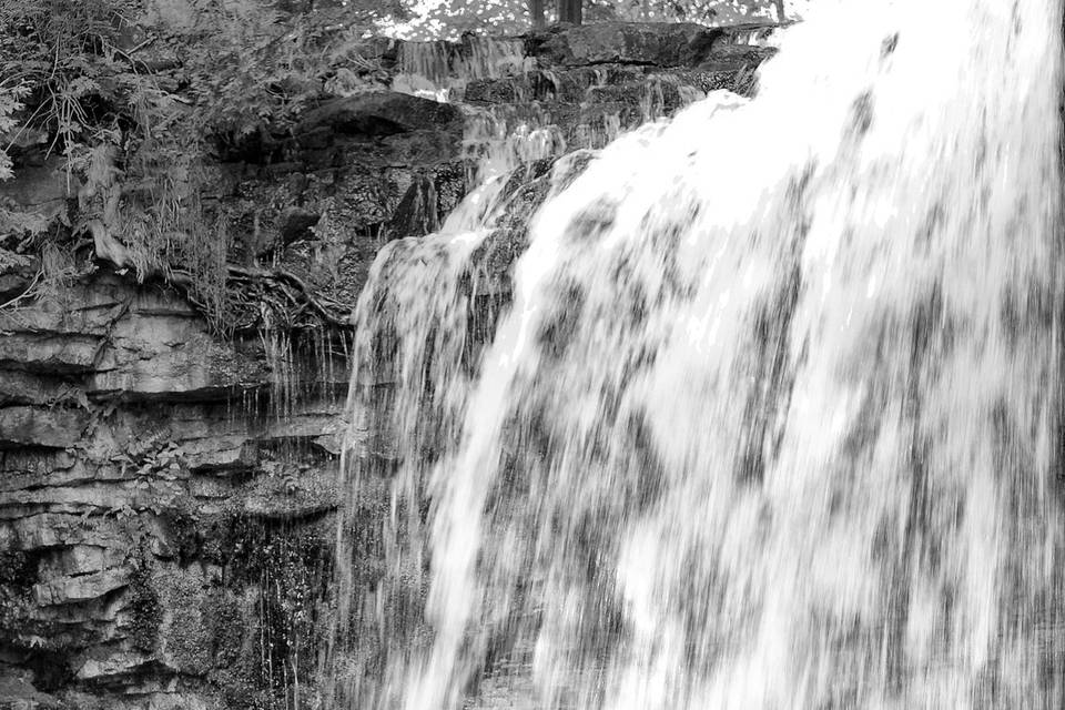 Hilton falls engagement