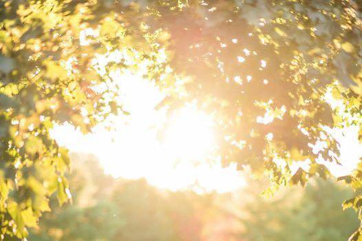Southampton, Ontario wedding couple