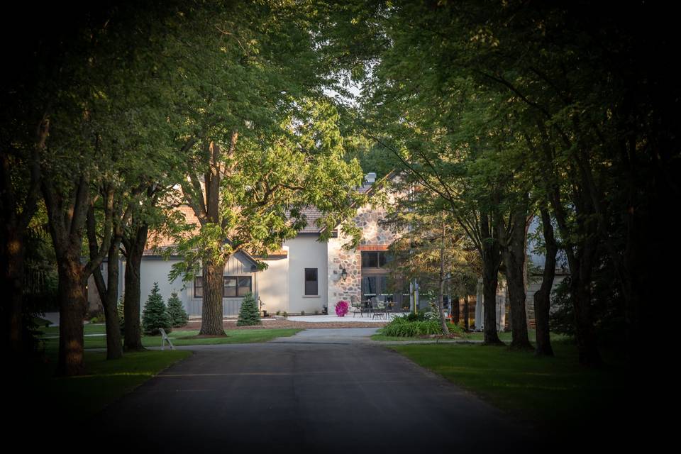 Tree Line Driveway